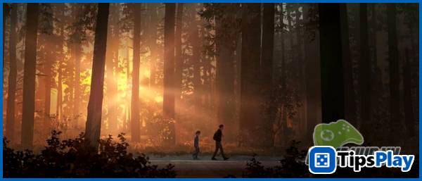 images 2 of [Review] Life is Strange 2 - Does it deserve the title of 2018 adventure masterpiece?